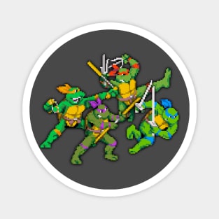 Retro Karate Terrapins Magnet